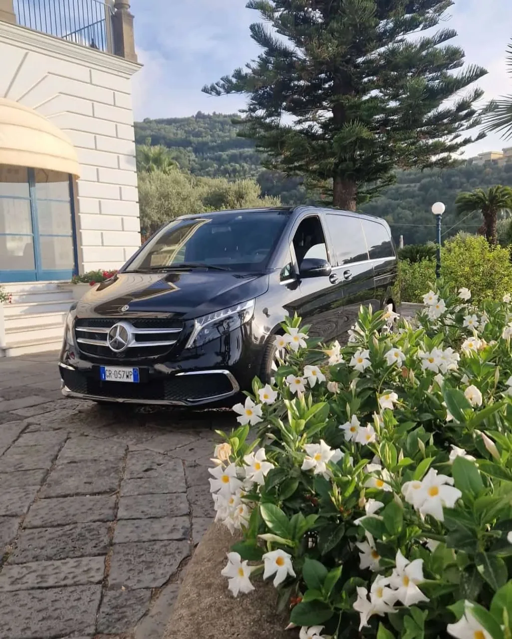 Scialone Limousine-4