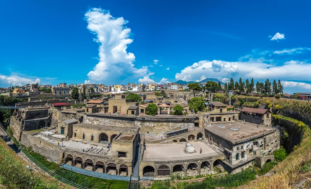 Herculaneum and wine tasting experience tour image